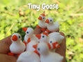 Tiny Geese