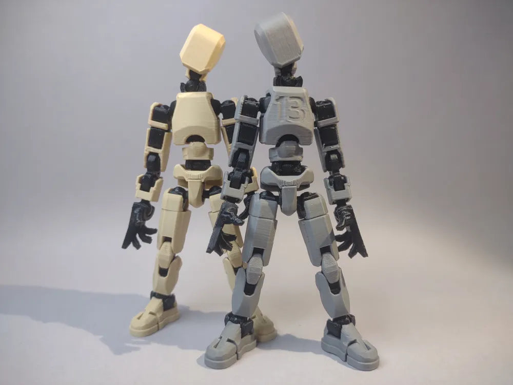 Dummy 13